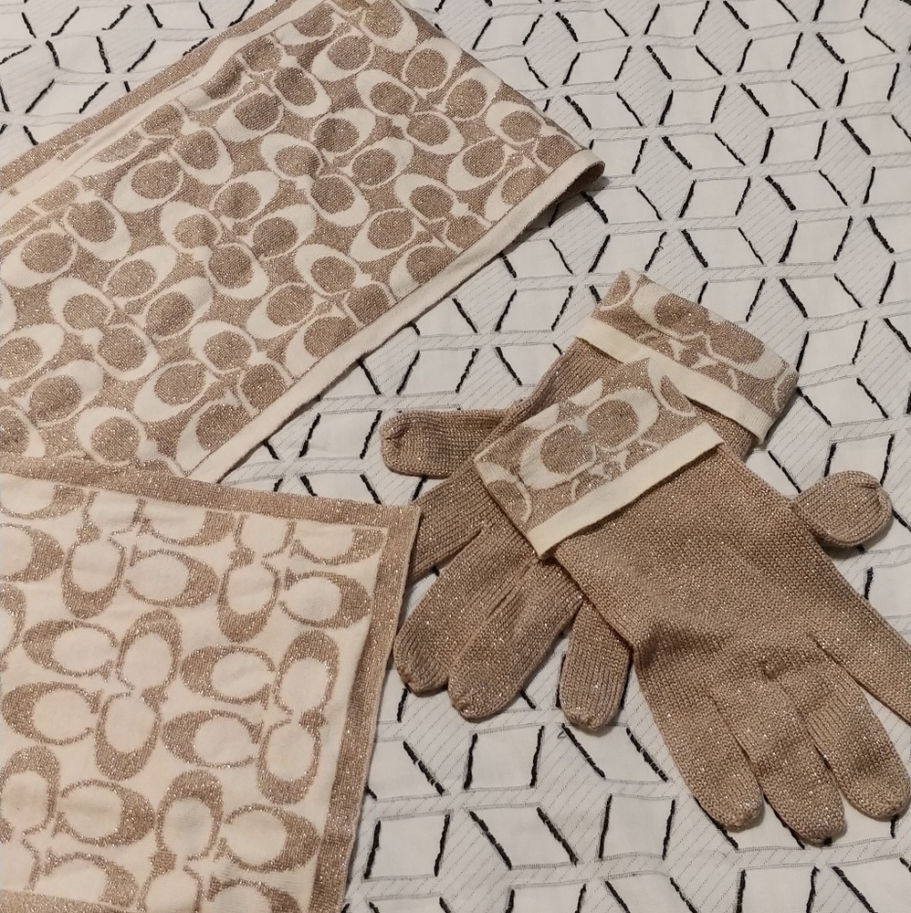 Coach glove and scarf set